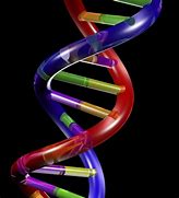 Image result for Double Helix Labels