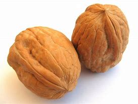 Image result for Walnut Gather