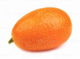 Image result for Kumquat Fruit White Background