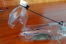 Image result for Oil Trap Mouse