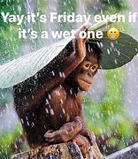 Image result for Raining Weekend