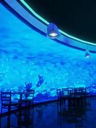 Image result for Aquarium of the Pacific Cafe