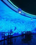 Image result for Cafe Ohio Aquarium Event