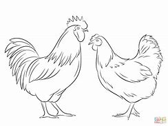 Image result for Hen House Drawing Easy