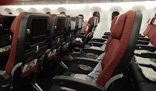 Image result for Japan Airlines Seating Chart