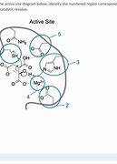 Image result for Active Site Diagram