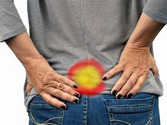 Image result for Buttock Nerves