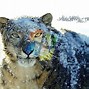 Image result for Snow Leopard Back Markings