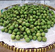 Image result for Buah Masam Kecik