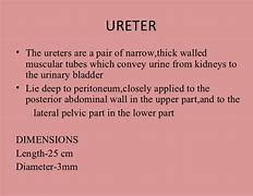 Image result for Long Tunnel Ureter