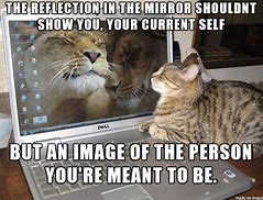 Image result for Self Reflection and Ownership Meme