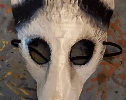 Image result for Possum Mask