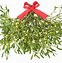 Image result for Mistletoe Story