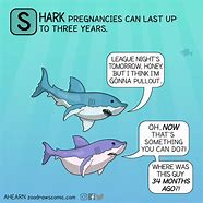 Image result for Animal Facts Comic Long