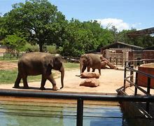 Image result for Oklahoma City Zoo