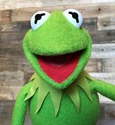 Image result for Kermit the Frog Eyes