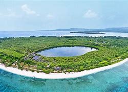 Image result for Gili T Aerial