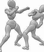 Image result for Punching Pose