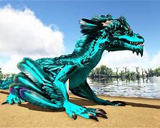 Image result for Rock Drake Saddle Ark