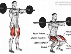 Image result for Front Squat Exercise