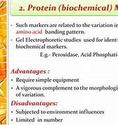 Image result for DNA Marker Linear