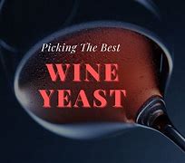 Image result for Yeast Alcohol