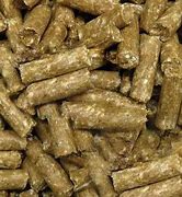 Image result for Beef Cattle Feed