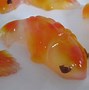 Image result for Koi Fish Meat