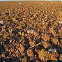 Image result for Sudan Arable Land