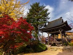 Image result for Hanami Festival