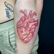 Image result for Anatomical Heart Tattoo Red