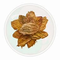 Image result for Tobacco Leaf with Plume