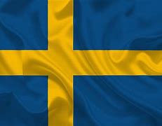 Image result for Svensk Flag