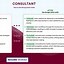 Image result for Consulting Resume Examples