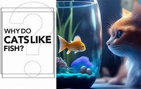 Image result for Cats Like Fish