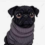 Image result for Black Pug Pan Ting