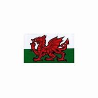 Image result for Welsh Dragon Sticker