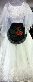 Image result for Vera Cruz Folklorico Dress