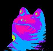 Image result for Rainbow Dancing Frog