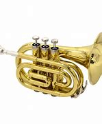 Image result for Trumpet Music Instrument