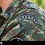 Image result for U.S. Army Special Forces Dress/Uniform