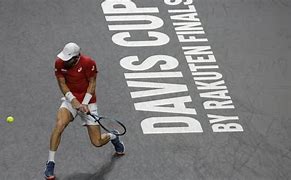 Image result for Davis Cup Tennis Coaches