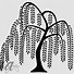 Image result for Willow Tree Drawing