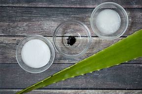 Image result for Aloe Vera Lip Scrub