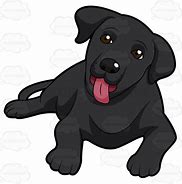 Image result for Black Lab Dog Memes