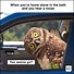 Image result for Funny Forest Animals Meme