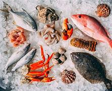 Image result for Seafood Nutrients