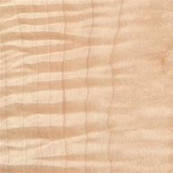 Image result for Curly Maple Wood