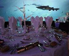 Image result for Aquarium Night Events