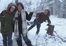 Image result for Paul Alaskan Bush People